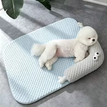 Why Quality Pet Products Make a Big Difference in Everyday Life